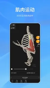 Anatomymaster screenshot 1