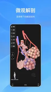 Anatomymaster screenshot 2