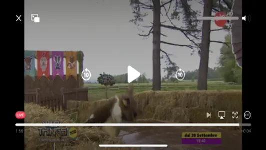 PaskyTV screenshot 4