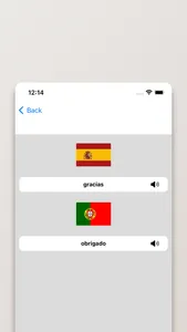 Dicionário Espanhol/Português screenshot 3