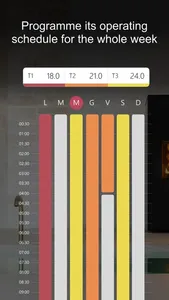 Brisach+ screenshot 2