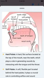 EFL - ESL Pronunciation screenshot 8