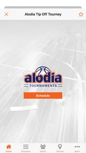 Alodia Basketball screenshot 2