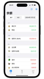 DebitCredit screenshot 0