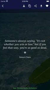 Daily Quotes - Inspirations screenshot 2
