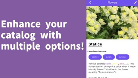 FlexiPedia screenshot 2