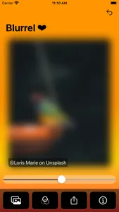 Blurrel screenshot 0