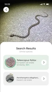 Snake name - identify snakes screenshot 1