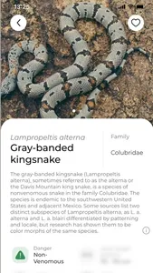 Snake name - identify snakes screenshot 2