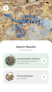 Snake name - identify snakes screenshot 4