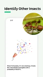 Bug Identifier - Punaise screenshot 3