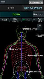 Brain and nerves (Anatomy) screenshot 1