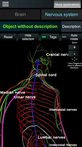 Brain and nerves (Anatomy) screenshot 3