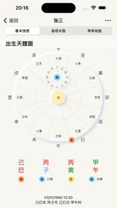 辰时八字排盘 - 天干地支问真八字求真八字排盘从真版 screenshot 3