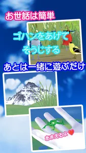 cute frog healing caring game screenshot 1