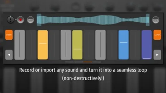 Salome - MPE Audio Sampler screenshot 1