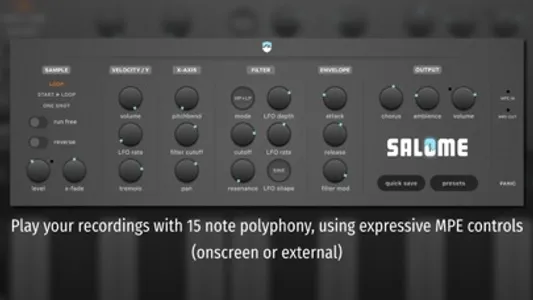 Salome - MPE Audio Sampler screenshot 2