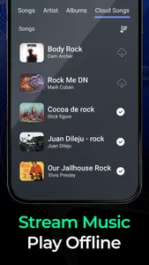 Music Panda・Cloud Music Player screenshot 2
