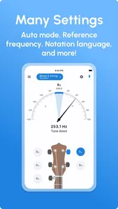 Banjo Tuner - LikeTones screenshot 3