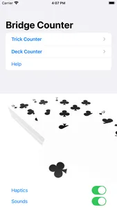 Bridge Counter screenshot 0