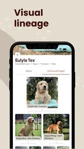 YouChoose screenshot 4