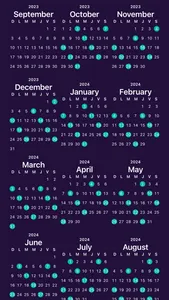 On-Call Schedule screenshot 1