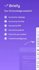 Briefy - AI summary on Safari screenshot 0