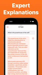 AI Homework Helper - TutorPal screenshot 3