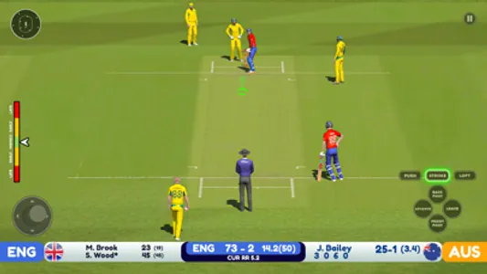 World Cricket Odi Wcc 2024 screenshot 0