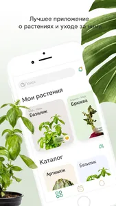 Plant Push screenshot 0