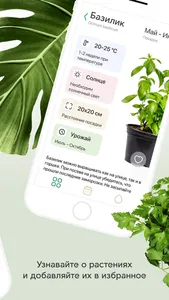 Plant Push screenshot 1