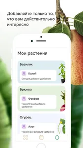 Plant Push screenshot 3