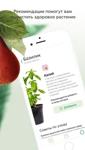 Plant Push screenshot 4