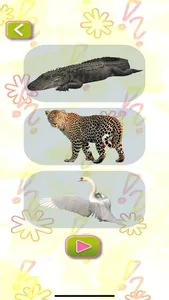 Animal Names in German screenshot 9