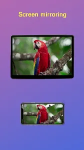 TesDisplay - Screen Mirror screenshot 0