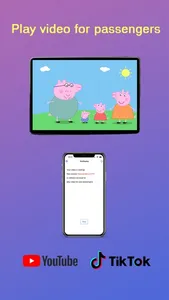 TesDisplay - Screen Mirror screenshot 2