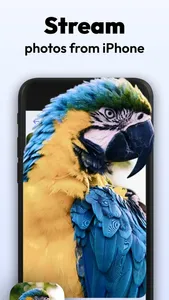 Screen Mirroring ӏ TV Miracast screenshot 3