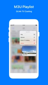 MKV PiP Player screenshot 2