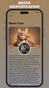 Cat Meow Interpreter screenshot 1
