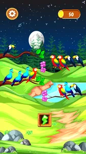 Bird Sort Game screenshot 3