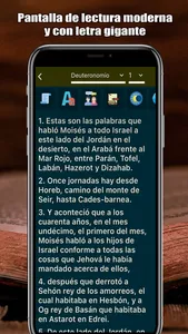 Biblia Con Letra Gigante screenshot 1