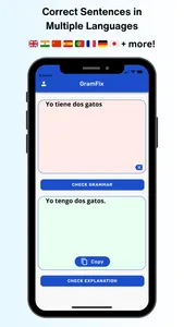 Grammar Check Corrector° screenshot 2