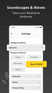 RIFE Frequency Amplifier screenshot 2