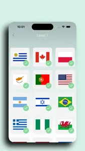 Guess This Flag screenshot 3