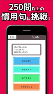 慣用句 ! screenshot 1