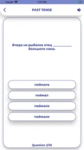 Russian GrammarーLessons・Tests screenshot 3