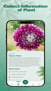 Tree Identifier : Plant UP App screenshot 1