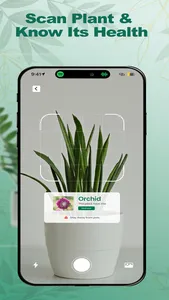 Tree Identifier : Plant UP App screenshot 2