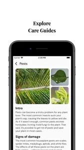 AI Plant Disease & Care screenshot 2