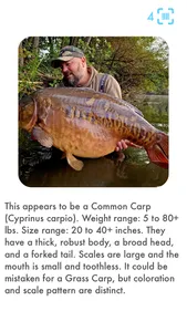 Fishdex screenshot 2